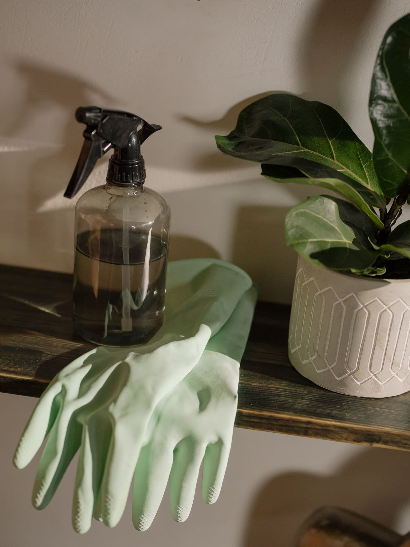 Vaporisateur et gants d’entretien menthe sur une tablette près d’une plante